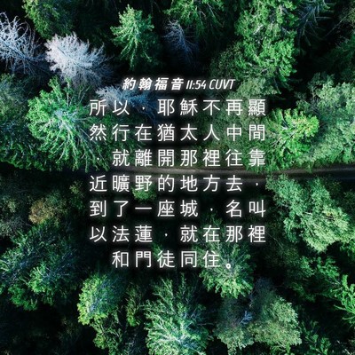 Picture 04 - 約 翰 福 音 11:54 CUVT - 所 以 ， 耶 穌 不 再 顯 然 行 在 猶 - Bible Verse Picture