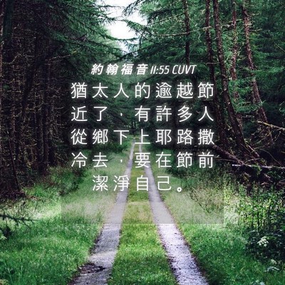 Picture 04 - 約 翰 福 音 11:55 CUVT - 猶 太 人 的 逾 越 節 近 了 ， 有 許 - Bible Verse Picture