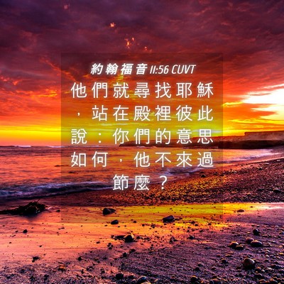 Picture 04 - 約 翰 福 音 11:56 CUVT - 他 們 就 尋 找 耶 穌 ， 站 在 殿 裡 - Bible Verse Picture