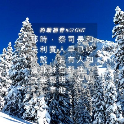 Picture 04 - 約 翰 福 音 11:57 CUVT - 那 時 ， 祭 司 長 和 法 利 賽 人 早 - Bible Verse Picture