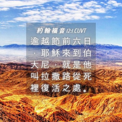 Picture 04 - 約 翰 福 音 12:1 CUVT - 逾 越 節 前 六 日 ， 耶 穌 來 到 伯 - Bible Verse Picture
