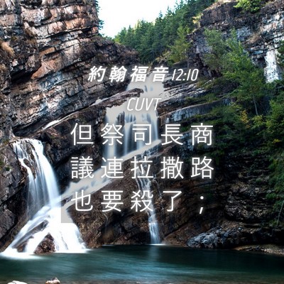 Picture 04 - 約 翰 福 音 12:10 CUVT - 但 祭 司 長 商 議 連 拉 撒 路 也 要 - Bible Verse Picture