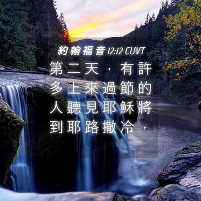 Picture 04 - 約 翰 福 音 12:12 CUVT - 第 二 天 ， 有 許 多 上 來 過 節 的 - Bible Verse Picture