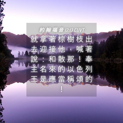Picture 04 - 約 翰 福 音 12:13 CUVT - 就 拿 著 棕 樹 枝 出 去 迎 接 他 ， - Bible Verse Picture