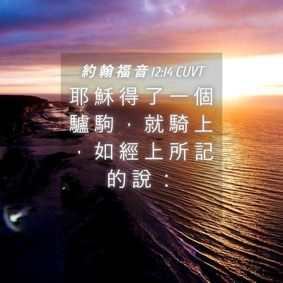 Picture 04 - 約 翰 福 音 12:14 CUVT - 耶 穌 得 了 一 個 驢 駒 ， 就 騎 上 - Bible Verse Picture