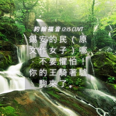Picture 04 - 約 翰 福 音 12:15 CUVT - 錫 安 的 民 （ 原 文 作 女 子 ） 哪 - Bible Verse Picture