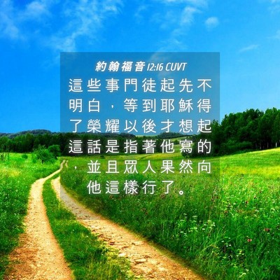 Picture 04 - 約 翰 福 音 12:16 CUVT - 這 些 事 門 徒 起 先 不 明 白 ， 等 - Bible Verse Picture