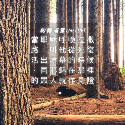 Picture 04 - 約 翰 福 音 12:17 CUVT - 當 耶 穌 呼 喚 拉 撒 路 ， 叫 他 從 - Bible Verse Picture