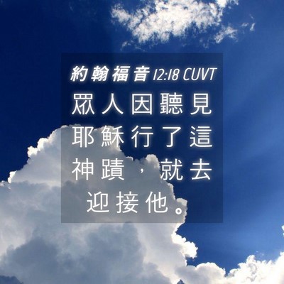 Picture 04 - 約 翰 福 音 12:18 CUVT - 眾 人 因 聽 見 耶 穌 行 了 這 神 蹟 - Bible Verse Picture