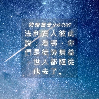 Picture 04 - 約 翰 福 音 12:19 CUVT - 法 利 賽 人 彼 此 說 ： 看 哪 ， 你 - Bible Verse Picture