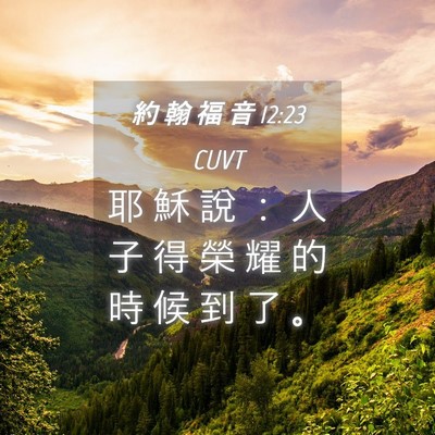 Picture 04 - 約 翰 福 音 12:23 CUVT - 耶 穌 說 ： 人 子 得 榮 耀 的 時 候 - Bible Verse Picture