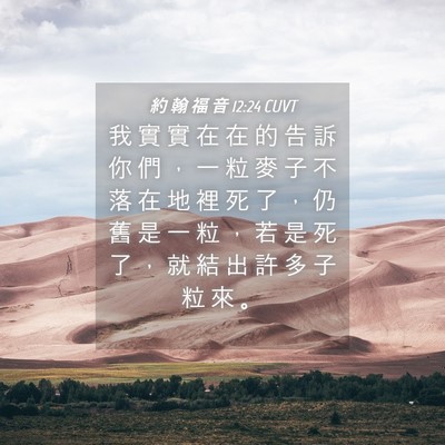 Picture 04 - 約 翰 福 音 12:24 CUVT - 我 實 實 在 在 的 告 訴 你 們 ， 一 - Bible Verse Picture