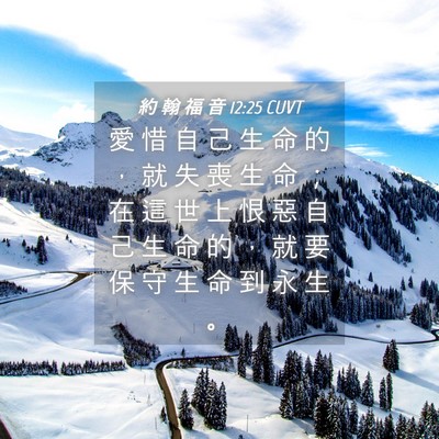 Picture 04 - 約 翰 福 音 12:25 CUVT - 愛 惜 自 己 生 命 的 ， 就 失 喪 生 - Bible Verse Picture