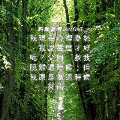 Picture 04 - 約 翰 福 音 12:27 CUVT - 我 現 在 心 裡 憂 愁 ， 我 說 甚 麼 - Bible Verse Picture