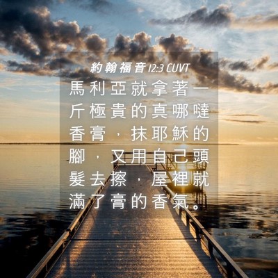Picture 04 - 約 翰 福 音 12:3 CUVT - 馬 利 亞 就 拿 著 一 斤 極 貴 的 真 - Bible Verse Picture