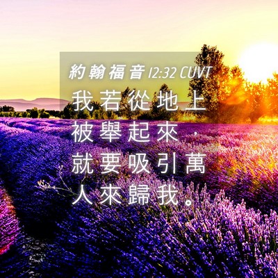 Picture 04 - 約 翰 福 音 12:32 CUVT - 我 若 從 地 上 被 舉 起 來 ， 就 要 - Bible Verse Picture
