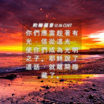 Picture 04 - 約 翰 福 音 12:36 CUVT - 你 們 應 當 趁 著 有 光 ， 信 從 這 - Bible Verse Picture