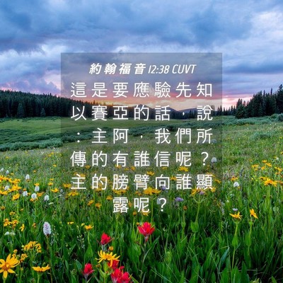 Picture 04 - 約 翰 福 音 12:38 CUVT - 這 是 要 應 驗 先 知 以 賽 亞 的 話 - Bible Verse Picture