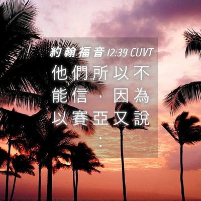 Picture 04 - 約 翰 福 音 12:39 CUVT - 他 們 所 以 不 能 信 ， 因 為 以 賽 - Bible Verse Picture