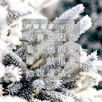 Picture 04 - 約 翰 福 音 12:41 CUVT - 以 賽 亞 因 為 看 見 他 的 榮 耀 ， - Bible Verse Picture