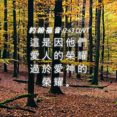 Picture 04 - 約 翰 福 音 12:43 CUVT - 這 是 因 他 們 愛 人 的 榮 耀 過 於 - Bible Verse Picture