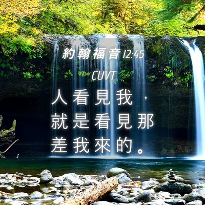 Picture 04 - 約 翰 福 音 12:45 CUVT - 人 看 見 我 ， 就 是 看 見 那 差 我 - Bible Verse Picture