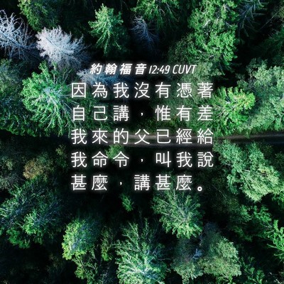 Picture 04 - 約 翰 福 音 12:49 CUVT - 因 為 我 沒 有 憑 著 自 己 講 ， 惟 - Bible Verse Picture