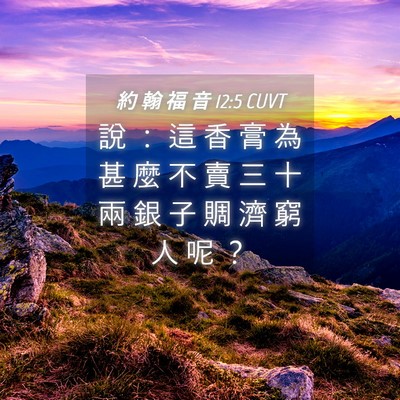 Picture 04 - 約 翰 福 音 12:5 CUVT - 說 ： 這 香 膏 為 甚 麼 不 賣 三 十 - Bible Verse Picture