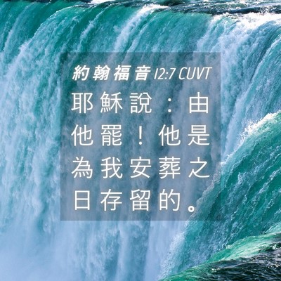 Picture 04 - 約 翰 福 音 12:7 CUVT - 耶 穌 說 ： 由 他 罷 ！ 他 是 為 我 - Bible Verse Picture