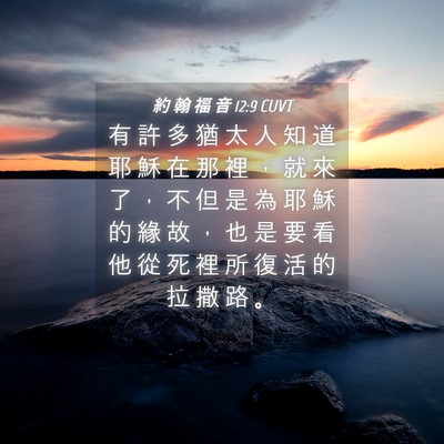 Picture 04 - 約 翰 福 音 12:9 CUVT - 有 許 多 猶 太 人 知 道 耶 穌 在 那 - Bible Verse Picture