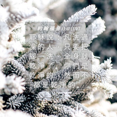 Picture 04 - 約 翰 福 音 13:10 CUVT - 耶 穌 說 ： 凡 洗 過 澡 的 人 ， 只 - Bible Verse Picture