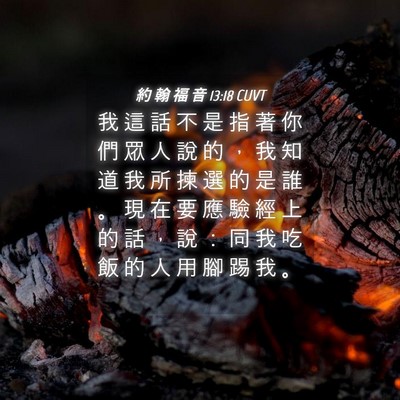Picture 04 - 約 翰 福 音 13:18 CUVT - 我 這 話 不 是 指 著 你 們 眾 人 說 - Bible Verse Picture