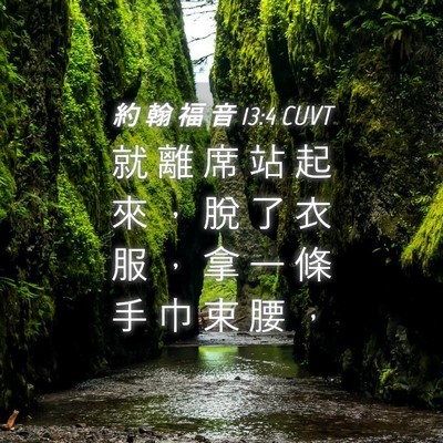 Picture 04 - 約 翰 福 音 13:4 CUVT - 就 離 席 站 起 來 ， 脫 了 衣 服 ， - Bible Verse Picture