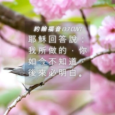 Picture 04 - 約 翰 福 音 13:7 CUVT - 耶 穌 回 答 說 ： 我 所 做 的 ， 你 - Bible Verse Picture