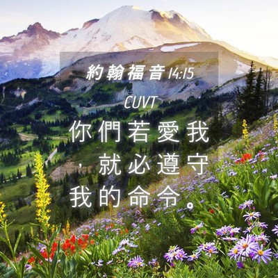 Picture 04 - 約 翰 福 音 14:15 CUVT - 你 們 若 愛 我 ， 就 必 遵 守 我 的 - Bible Verse Picture