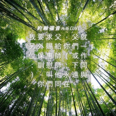 Picture 04 - 約 翰 福 音 14:16 CUVT - 我 要 求 父 ， 父 就 另 外 賜 給 你 - Bible Verse Picture