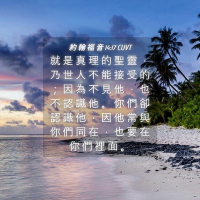 Picture 04 - 約 翰 福 音 14:17 CUVT - 就 是 真 理 的 聖 靈 ， 乃 世 人 不 - Bible Verse Picture