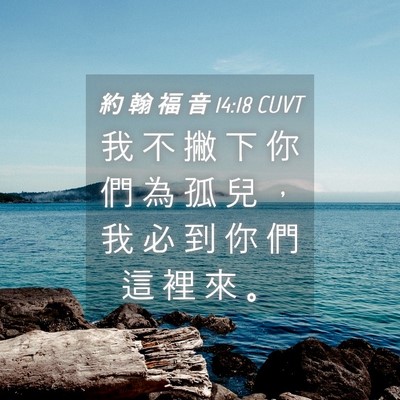 Picture 04 - 約 翰 福 音 14:18 CUVT - 我 不 撇 下 你 們 為 孤 兒 ， 我 必 - Bible Verse Picture