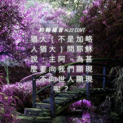 Picture 04 - 約 翰 福 音 14:22 CUVT - 猶 大 （ 不 是 加 略 人 猶 大 ） 問 - Bible Verse Picture