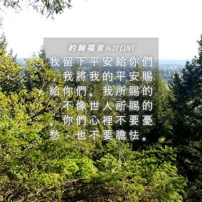 Picture 04 - 約 翰 福 音 14:27 CUVT - 我 留 下 平 安 給 你 們 ； 我 將 我 - Bible Verse Picture