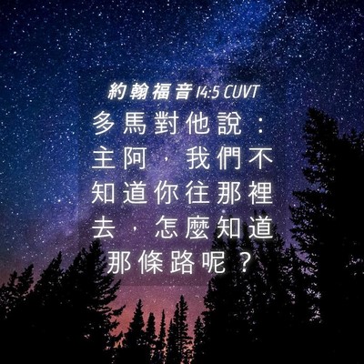 Picture 04 - 約 翰 福 音 14:5 CUVT - 多 馬 對 他 說 ： 主 阿 ， 我 們 不 - Bible Verse Picture