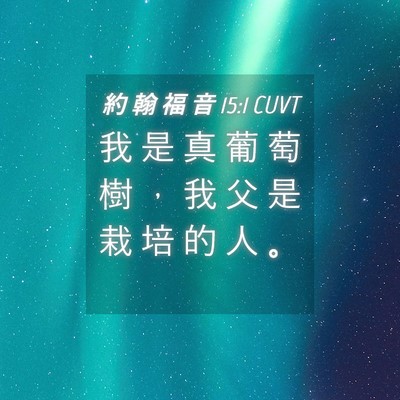 Picture 04 - 約 翰 福 音 15:1 CUVT - 我 是 真 葡 萄 樹 ， 我 父 是 栽 培 - Bible Verse Picture