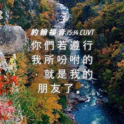 Picture 04 - 約 翰 福 音 15:14 CUVT - 你 們 若 遵 行 我 所 吩 咐 的 ， 就 - Bible Verse Picture