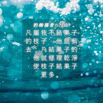 Picture 04 - 約 翰 福 音 15:2 CUVT - 凡 屬 我 不 結 果 子 的 枝 子 ， 他 - Bible Verse Picture