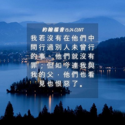 Picture 04 - 約 翰 福 音 15:24 CUVT - 我 若 沒 有 在 他 們 中 間 行 過 別 - Bible Verse Picture