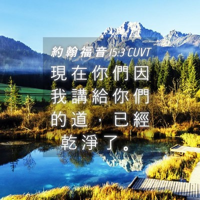 Picture 04 - 約 翰 福 音 15:3 CUVT - 現 在 你 們 因 我 講 給 你 們 的 道 - Bible Verse Picture