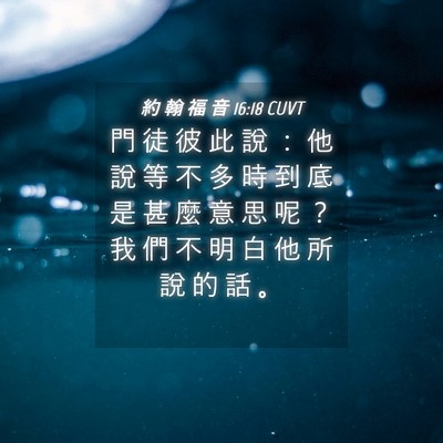 Picture 04 - 約 翰 福 音 16:18 CUVT - 門 徒 彼 此 說 ： 他 說 等 不 多 時 - Bible Verse Picture