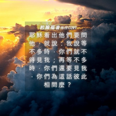 Picture 04 - 約 翰 福 音 16:19 CUVT - 耶 穌 看 出 他 們 要 問 他 ， 就 說 - Bible Verse Picture