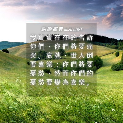 Picture 04 - 約 翰 福 音 16:20 CUVT - 我 實 實 在 在 的 告 訴 你 們 ， 你 - Bible Verse Picture