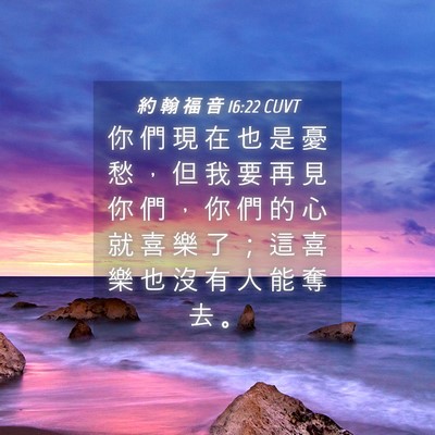 Picture 04 - 約 翰 福 音 16:22 CUVT - 你 們 現 在 也 是 憂 愁 ， 但 我 要 - Bible Verse Picture